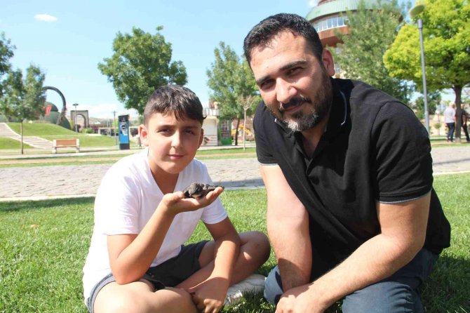 Yolda Buldukları Yaralı Ebabil Kuşunu Tedavi Edip Haydi̇ Ekiplerine Teslim Ettiler