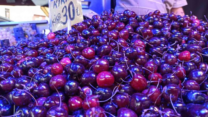 Kiraz Bu Yıl Cep Yakıyor