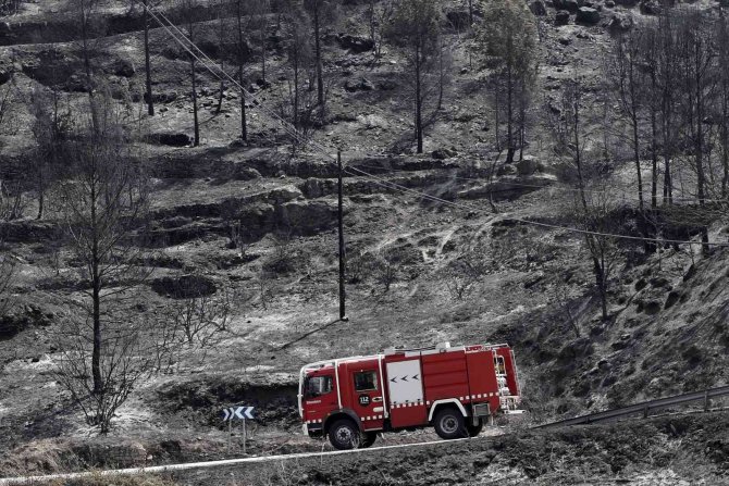 İ̇spanya’daki Orman Yangınında Alevlerden Koşarak Kurtuldu