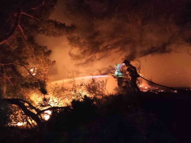 İ̇spanya’daki Orman Yangınında Alevlerden Koşarak Kurtuldu