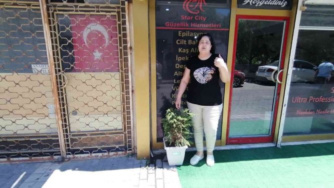 İ̇şyerinin Önündeki Saksıda Bulunan Ağacın Dallarını Kırıp Götürdü