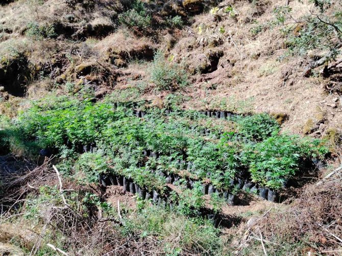İ̇zmir’de Uyuşturucu Operasyonları: 23 Şüpheli Yakalandı