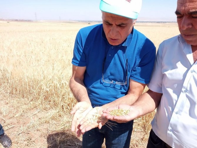 Çiftçinin Emeği Kaybolmasın Diye Denetimler Sıklaştırıldı