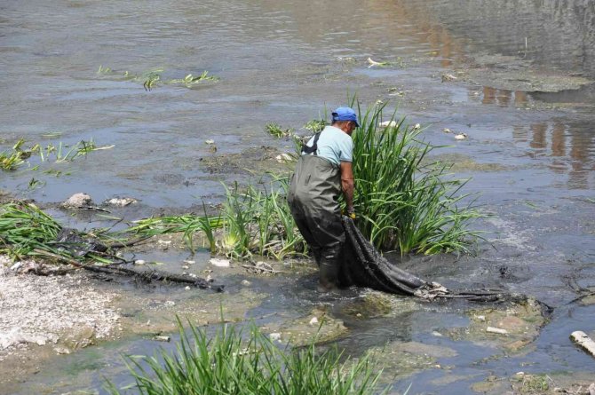 Kars Çayı Temizleniyor