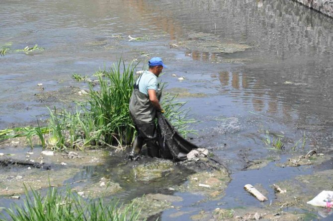 Kars Çayı Temizleniyor