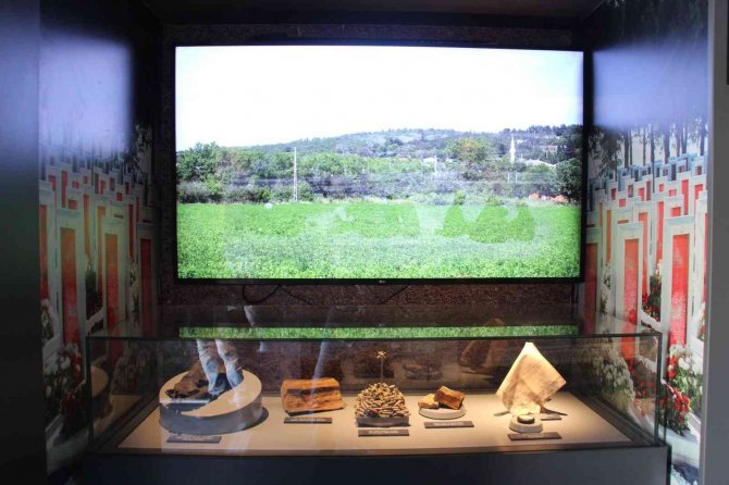 Çanakkale Savaşları Mobil Müzesi Kaş’ta Ziyarete Açıldı