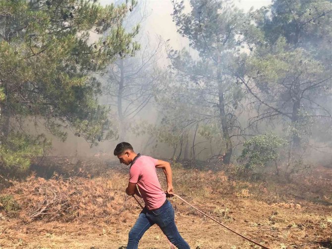 Manisa Gördes’teki Orman Yangınında Ekipler Seferber Oldu