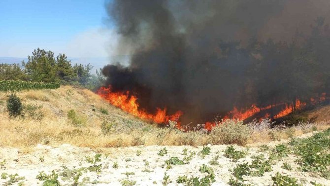 Manisa Büyükşehir İ̇tfaiyesi Gördes Yangını İçin Seferber Oldu