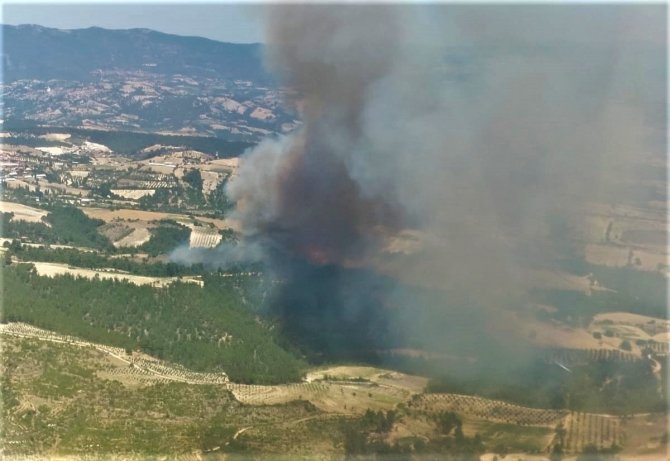 Manisa’da Orman Yangını