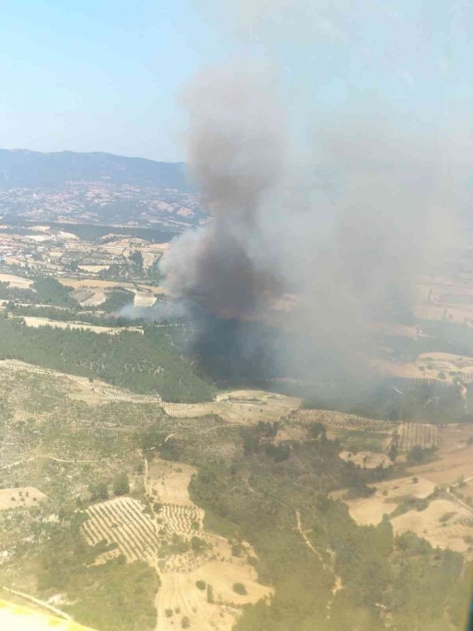 Manisa’da Orman Yangını