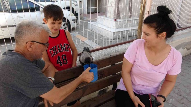 Okul Bahçesinde Sıcaktan Bayılan Karga, Kendine Gelince Öğrenci Kayıt Sırasına Girdi