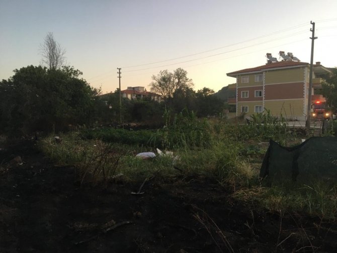 Otluk Alanda Çıkan Yangın Korkuttu
