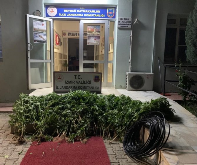 İ̇zmir’de Uyuşturucu Operasyonları: 23 Şüpheli Yakalandı