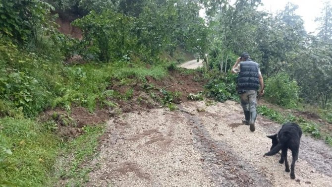 Ordu’da Kuvvetli Yağışın Bilançosu: 336 Heyelan