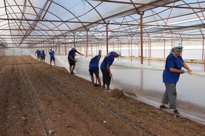 Toprak Sıcaklığını 100 Dereceye Çıkarıp Doğal Dezenfekte Sağlıyorlar