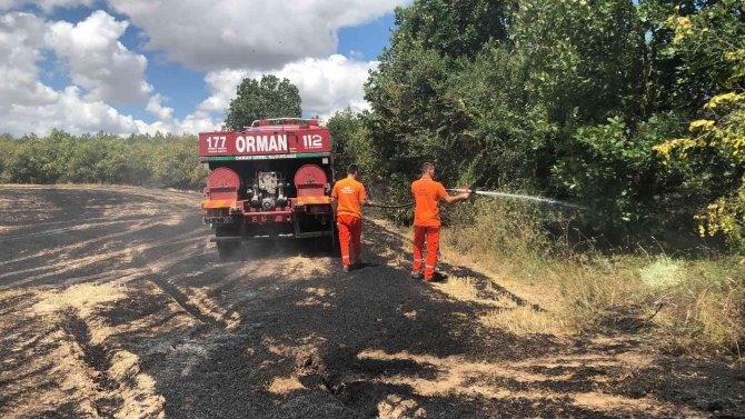 Kırklareli’nde Ormanlık Alanda Çıkan Yangında 5 Dekar Zarar Gördü