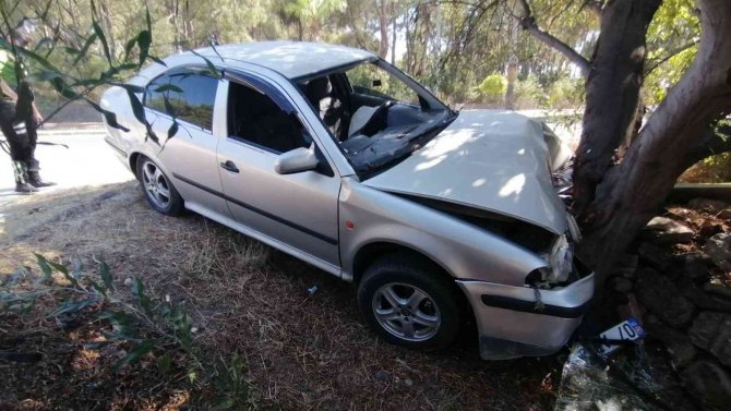 Virajı Alamayan Otomobil Ağaca Çarptı: 1 Yaralı