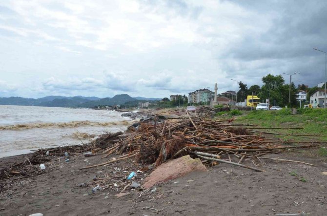 Sel Sonrası Kıyıya Vuran Odunlar, Vatandaşlar Tarafından Toplanıyor