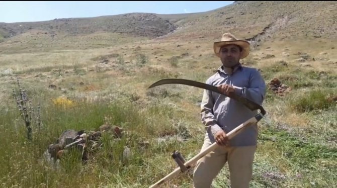 Tırpanla Ot Biçme Geleneği Kayboluyor