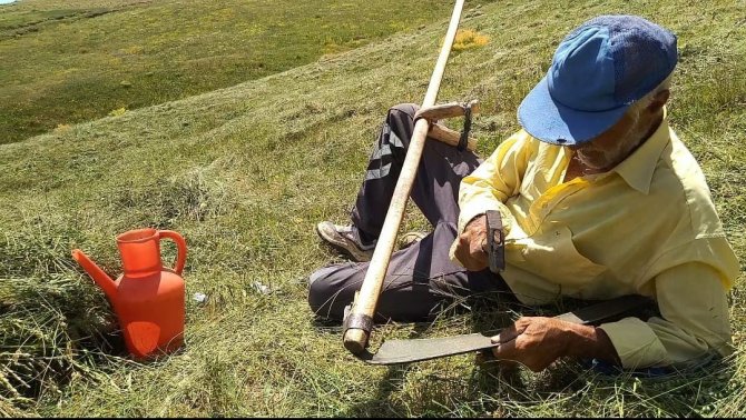 Tırpanla Ot Biçme Geleneği Kayboluyor