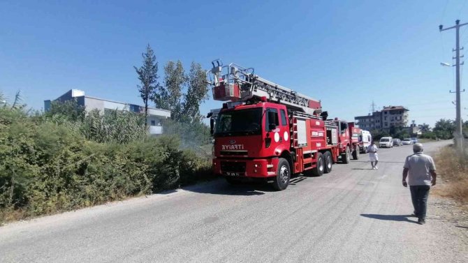 Antalya’da Otel Lojmanı Arkasındaki Alanda Çıkan Yangın Büyümeden Söndürüldü