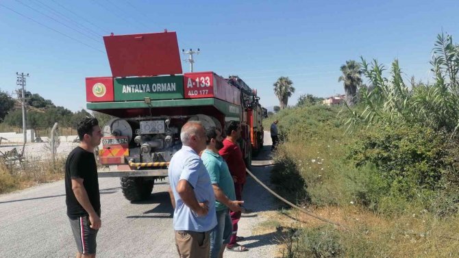 Antalya’da Otel Lojmanı Arkasındaki Alanda Çıkan Yangın Büyümeden Söndürüldü