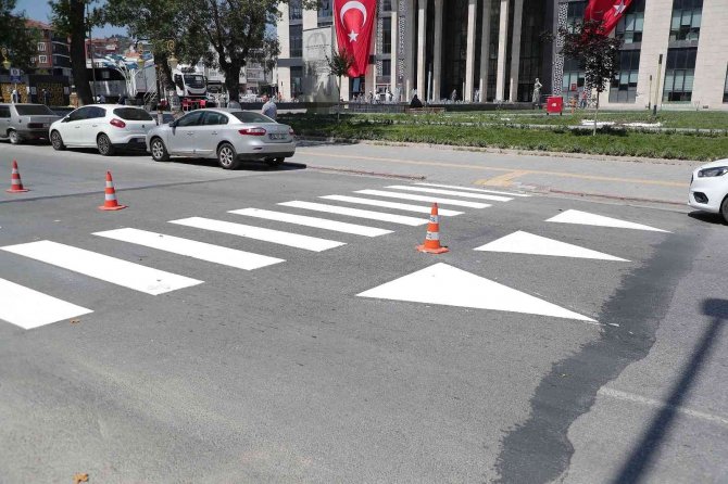 Yaya Ve Yol Çizgi Çalışmaları