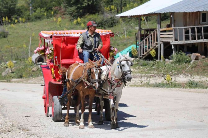 Abant Tabiat Parkı’nda Fayton Dönemi Sona Erdi