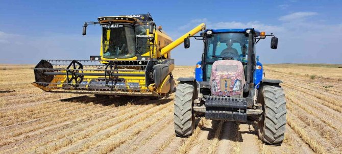 Adilcevaz’da Buğday Hasadı Başladı