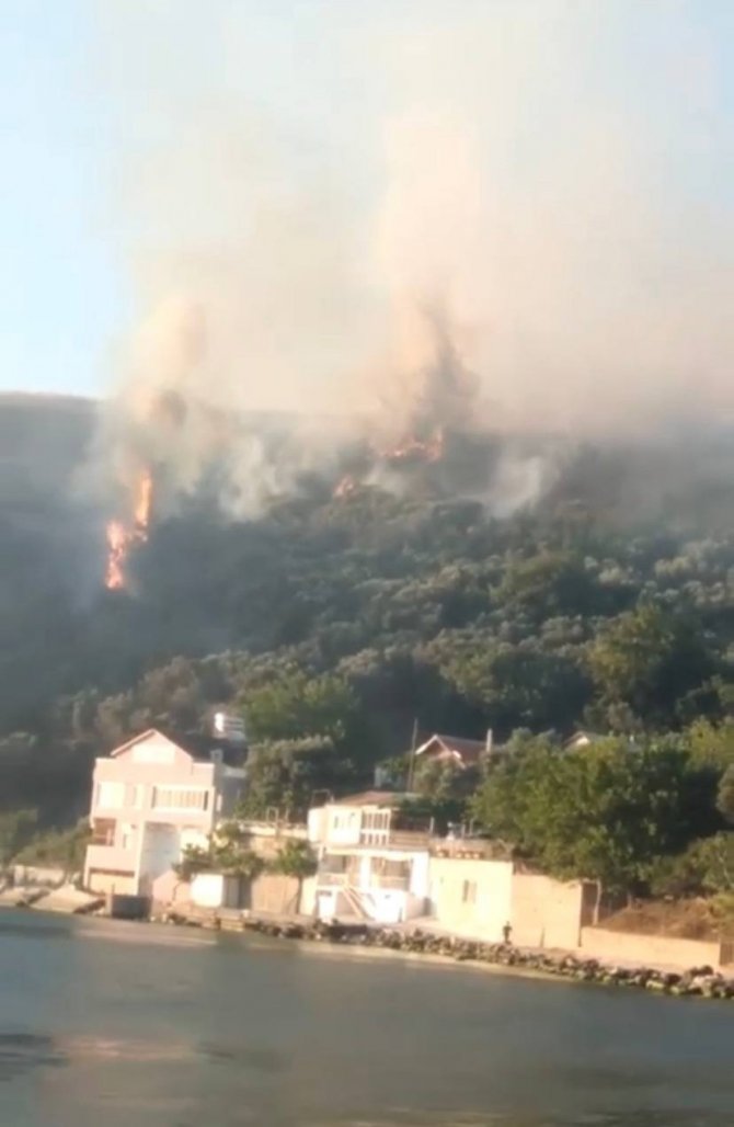 Bursa’da Korkutan Orman Yangını