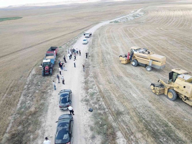 Beylikova Belediyesine Tahsis Edilen 4 Bin Dekar Arazide Hasat Başladı