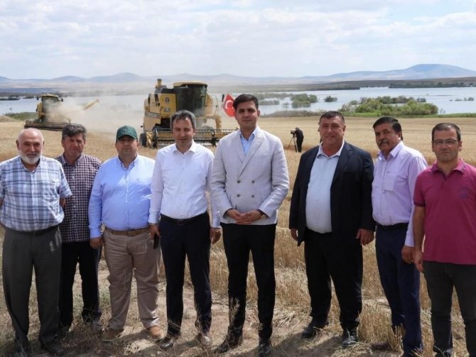 Beylikova Belediyesine Tahsis Edilen 4 Bin Dekar Arazide Hasat Başladı