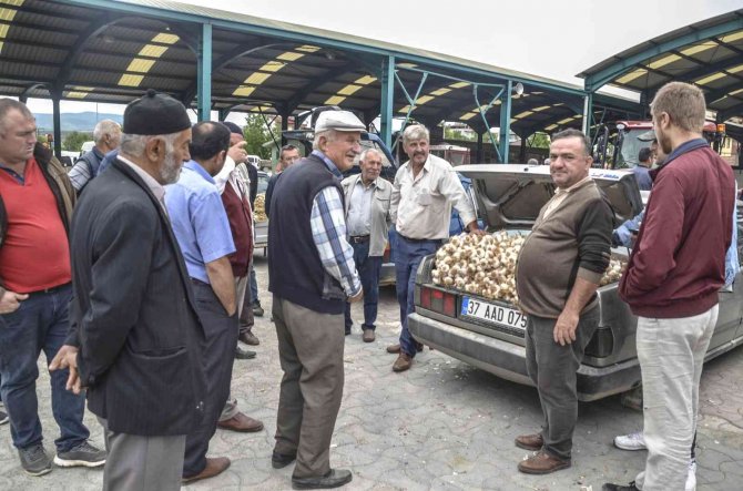 Taşköprü Sarımsağı 39 Tl’lik Kilogram Fiyatı İle Alıcı Buldu