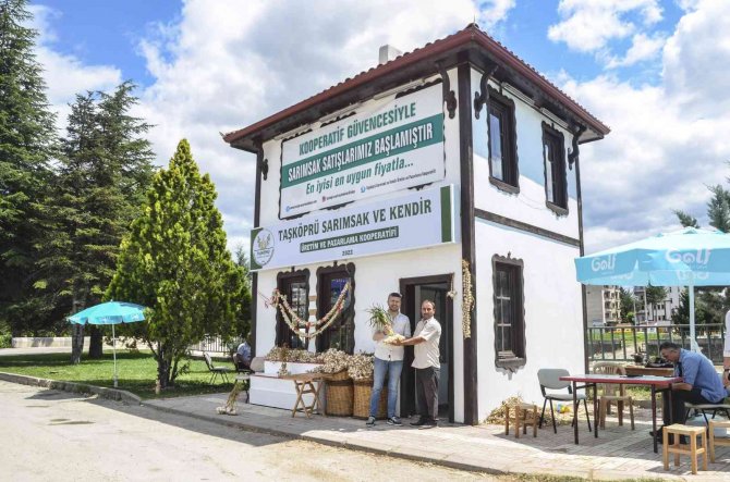 Taşköprü Sarımsağına Kooperatif Desteği