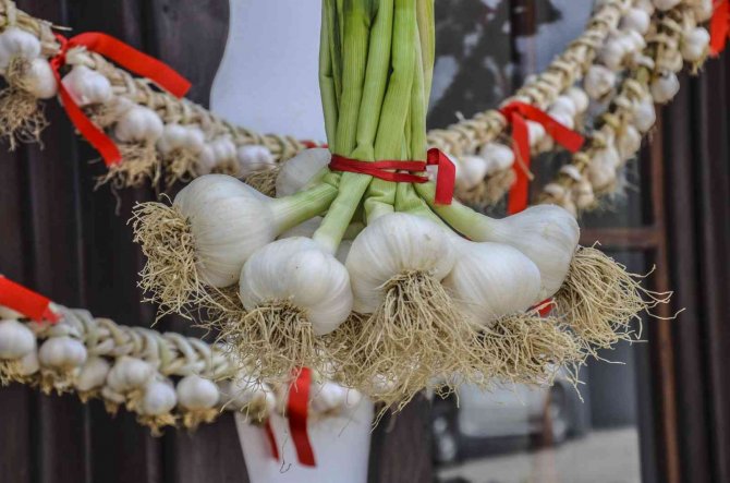 Taşköprü Sarımsağına Kooperatif Desteği