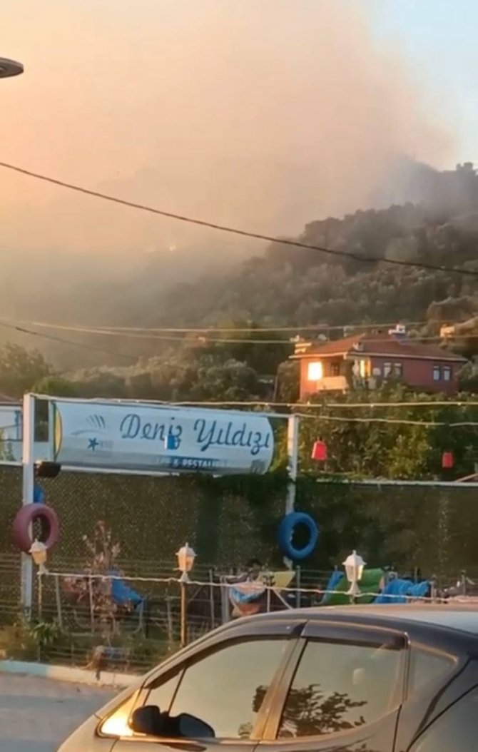 Bursa’da Korkutan Orman Yangını