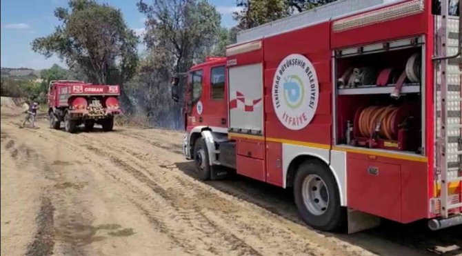 Tekirdağ’da Orman Yangını Kontrol Altına Alındı
