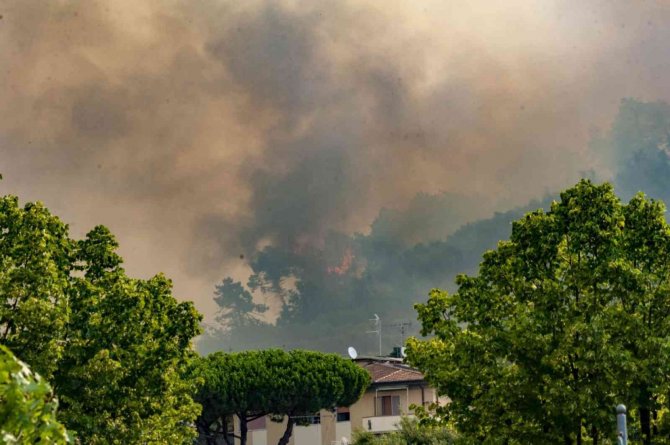 İ̇talya’da Orman Yangınlarında Yaklaşık 400 Hektar Alan Kül Oldu