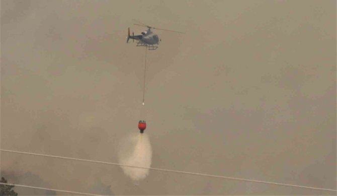 İ̇talya’da Orman Yangınlarında Yaklaşık 400 Hektar Alan Kül Oldu