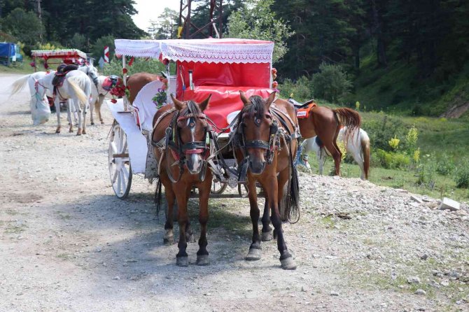 Abant Tabiat Parkı’nda Fayton Dönemi Sona Erdi
