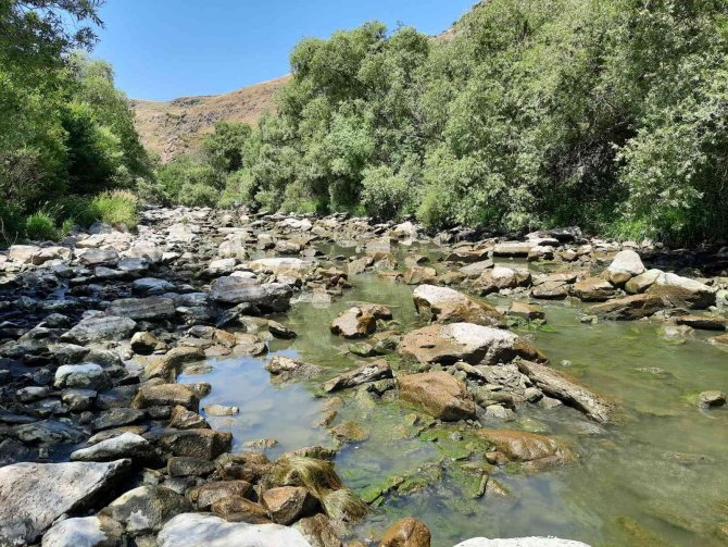 Kars Çayı’nın Temizliği Sürüyor