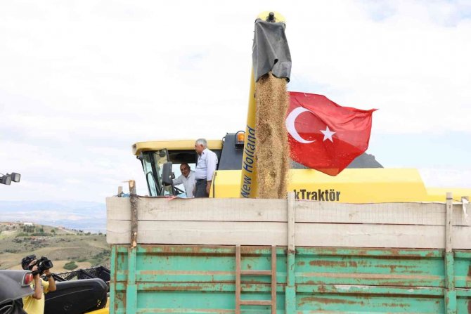 Keçiören Belediye Başkanı Turgut Altınok, İlk Buğday Hasadını Yaptı