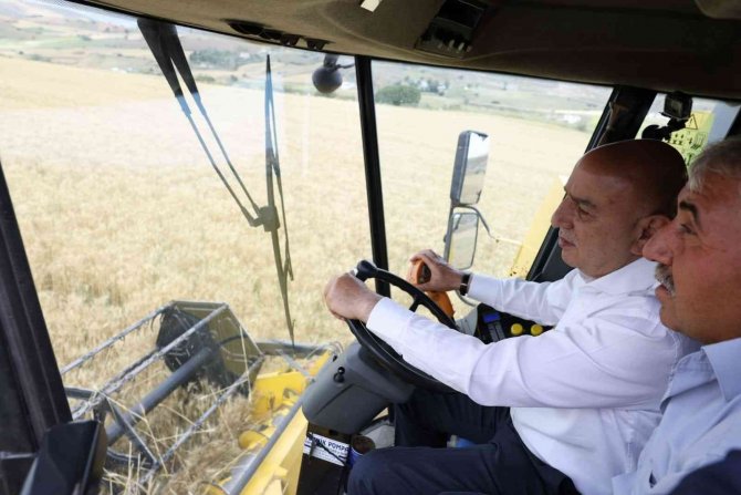 Keçiören Belediye Başkanı Turgut Altınok, İlk Buğday Hasadını Yaptı