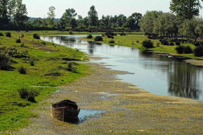 Kuş Cenneti 17 Bin 726 Ziyaretçiyi Ağırladı