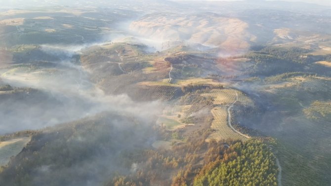 Manisa’daki Orman Yangınıyla İlgili 2 Kişi Tutuklandı