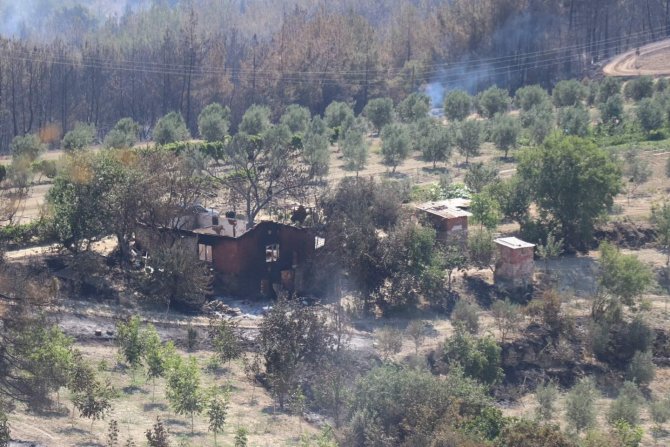 Manisa’daki Orman Yangınıyla İlgili 2 Kişi Tutuklandı