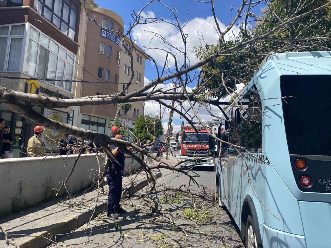 Pendik’te Ağaç Seyir Halindeki Minibüsün Üzerine Devrildi