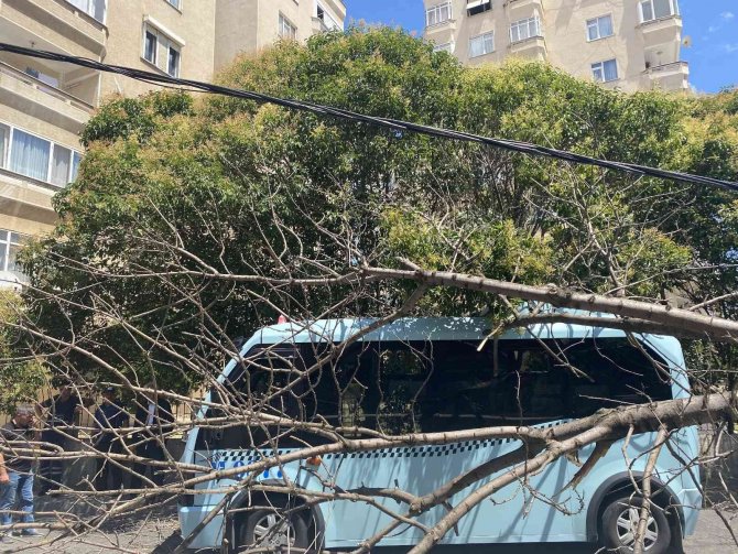 Pendik’te Ağaç Seyir Halindeki Minibüsün Üzerine Devrildi