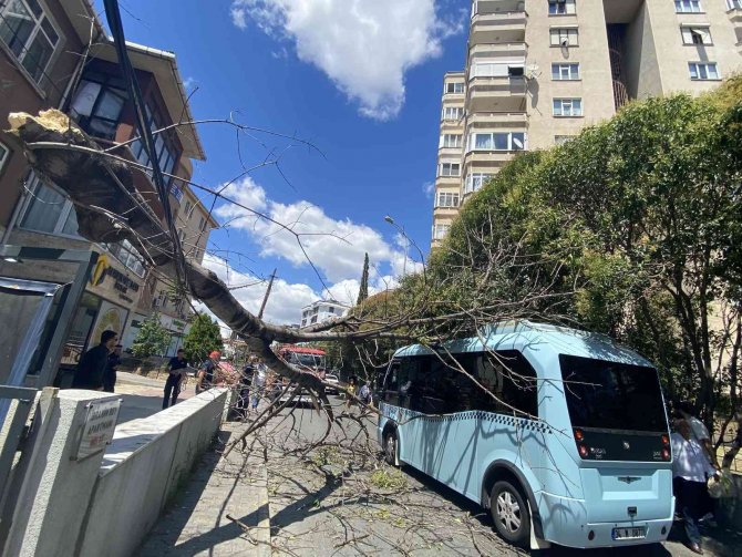 Pendik’te Ağaç Seyir Halindeki Minibüsün Üzerine Devrildi