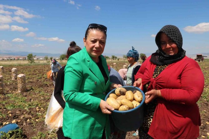 Patates 7 Tl’yi Bulan Satış Fiyatıyla Üreticisinin Yüzünü Güldürdü